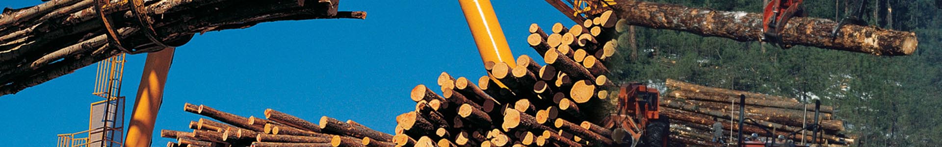 Forestry-log moving-loggers-log bundles